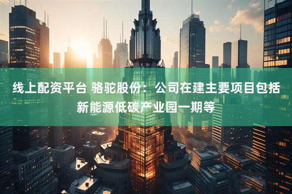 线上配资平台 骆驼股份：公司在建主要项目包括新能源低碳产业园一期等