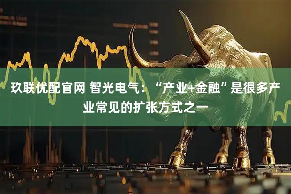 玖联优配官网 智光电气：“产业+金融”是很多产业常见的扩张方式之一
