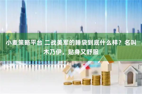 小麦策略平台 二战美军的睡袋到底什么样？名叫木乃伊，贴身又舒服